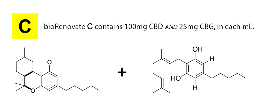 Molecules Image